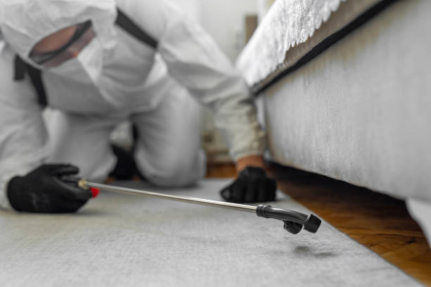 Professional Bed Bug Control technician working in Dellwood, MO